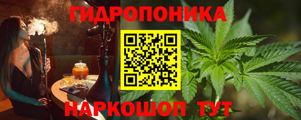 Канабис THC 21%  Бошки Шишки LSD WEED  Новозыбков  Канабис THC 21%  Вход с VPN 